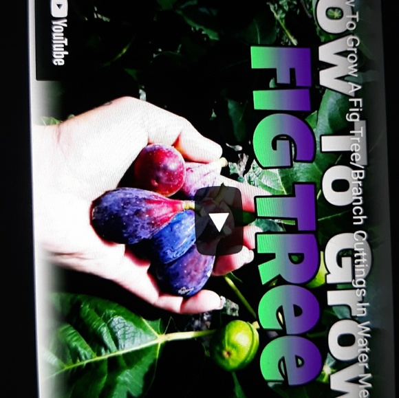 Meet your Posher, Janet - Picture 1 of 1